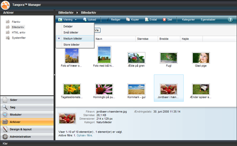 SmartView i Tangora Manager